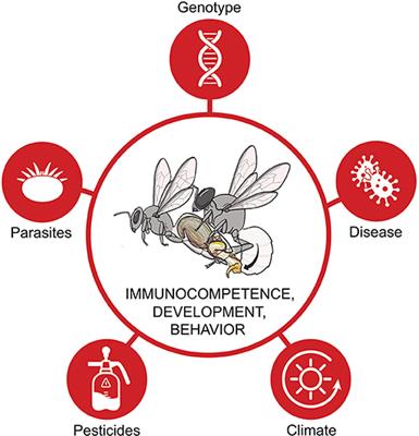 Editorial: Insect Fertility in a Changing Environment